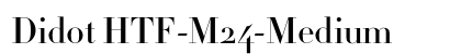 Didot HTF-M24-Medium Font Didot HTF-M24-Medium Font Preview