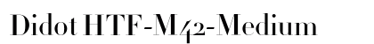 Didot HTF-M42-Medium Font Didot HTF-M42-Medium Font Preview