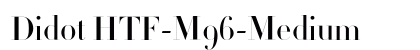 Didot HTF-M96-Medium Font Didot HTF-M96-Medium Font Preview