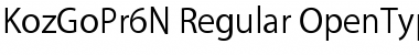Download Kozuka Gothic Pr6NR Font