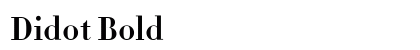 Didot Bold Font Didot Bold Font Preview