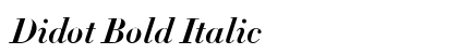 Didot Bold Italic Font Didot Bold Italic Font Preview