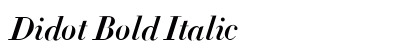 Didot Bold Italic Font Didot Bold Italic Font Preview