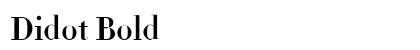 Didot Bold Font Didot Bold Font Preview