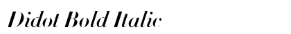 Didot Bold Italic Font Didot Bold Italic Font Preview