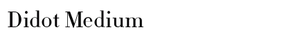 Didot Medium Font Didot Medium Font Preview