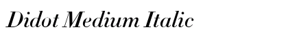 Didot Medium Italic Font Didot Medium Italic Font Preview